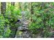 Scenic view of a natural creek flowing through the property's lush greenery at 2700 Ross Rd, Durham, NC 27703