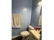 Simple bathroom with blue walls, a toilet, and a white sink at 303 Smith Level Rd # E32, Chapel Hill, NC 27516