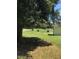 A mature tree in the front yard provides shade, with a glimpse of a shed in a tranquil setting at 335 Ashley Ave, Timberlake, NC 27583