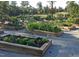 Raised garden beds offer a delightful space for growing your own vegetables and herbs at 725 Ancient Oaks Dr, Holly Springs, NC 27540