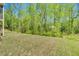 Expansive backyard with lush greenery and mature trees providing shade and privacy at 105 Scoville Rd, Garner, NC 27529