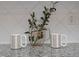 Neutral kitchen counter decor, including flowers and decorative mugs at 1120 Scholastic Cir, Durham, NC 27713