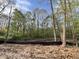 The property's spacious backyard is surrounded by trees and a retaining wall at 12 Gates St, Roxboro, NC 27573