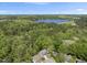 Expansive aerial view of the property showcasing the lush green surroundings and the serene lake at 1401 Freshwater Ct, Wake Forest, NC 27587