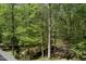 Scenic backyard view with lush trees, greenery, and a small stream, creating a serene natural retreat at 1401 Freshwater Ct, Wake Forest, NC 27587