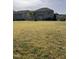 Expansive backyard with grass, mature trees, patio, and neighboring homes at 141 Steel Hopper Way, Garner, NC 27529