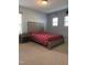 A bright bedroom featuring a large bed with a red and white comforter set, carpet floors, and natural light from two windows at 141 Steel Hopper Way, Garner, NC 27529