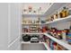 Walk-in pantry with ample shelving for organized storage of food and kitchen essentials at 212 Blue Granite Dr, Holly Springs, NC 27540