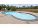 Private kidney shaped pool featuring a diving board and patio with mature tree backdrop at 3646 Watkins Farm Rd, Hillsborough, NC 27278