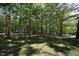 Backyard view filled with lush, mature trees at 5200 Lorbacher Rd, Apex, NC 27539