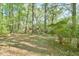 Serene backyard with mature trees, offering a peaceful and private setting at 775 Old Graham Rd, Pittsboro, NC 27312