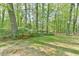 Scenic backyard view, with vibrant trees offering shade and lush greenery at 775 Old Graham Rd, Pittsboro, NC 27312