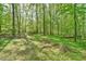 Lush backyard with mature trees, creating a private and tranquil outdoor space at 775 Old Graham Rd, Pittsboro, NC 27312