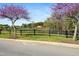 View of a farm with open pastures and black fence from a road with blooming trees at 83 Calabria Ct, Clayton, NC 27527