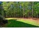 Private backyard with green grass, mature trees and room for outdoor activities at 910 Old Orchard Rd, Chapel Hill, NC 27517
