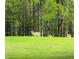 Deer in the backyard of the property at 910 Old Orchard Rd, Chapel Hill, NC 27517