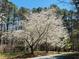 Landscaped yard with flowering trees and wooded area at 910 Old Orchard Rd, Chapel Hill, NC 27517