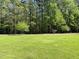 Expansive green lawn bordered by towering trees under a bright blue sky; providing a lush, serene setting at 910 Old Orchard Rd, Chapel Hill, NC 27517