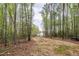 The expansive backyard leads to a two-story home with a deck, surrounded by a lush forest at 10 Shearin Ln, Youngsville, NC 27596