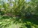 View of the backyard, showcasing lush greenery and landscaping, offering privacy at 3320 Marblehead Ln, Raleigh, NC 27612