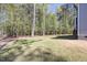 Spacious backyard with lush green grass and mature trees at 50 Gadwall Ct, Zebulon, NC 27597