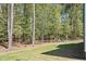 Private backyard surrounded by towering trees, creating a serene outdoor space at 50 Gadwall Ct, Zebulon, NC 27597