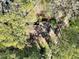 Aerial view of the house surrounded by a canopy of trees, creating a private retreat at 6709 Johnsdale Rd, Raleigh, NC 27615