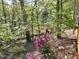View of the backyard featuring lush trees and vibrant azaleas in a serene, secluded setting at 6709 Johnsdale Rd, Raleigh, NC 27615