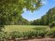Scenic golf course view with lush greenery and mature trees at 9220 Meadow Mist Ct, Raleigh, NC 27617