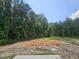 Large, wooded lot with open area ready for new construction. New home to have backyard views of lush trees at 143 Mildred Place, Broadway, NC 27505