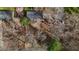 A bird's eye view shows the roof and the surrounding landscape of trees and a quiet street at 505 E Graham St, Mebane, NC 27302