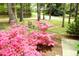 Inviting backyard with blooming azaleas, mature trees, and outdoor seating area at 505 E Graham St, Mebane, NC 27302