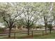 Street view with a wooded fence features white, blossoming Dogwood trees in the landscape at 505 E Graham St, Mebane, NC 27302