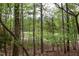 Surrounded by mature trees, the backyard offers a peaceful and private retreat at 635 Kensington Dr, Chapel Hill, NC 27514