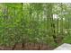 Lush greenery and mature trees offer a secluded backyard setting at 635 Kensington Dr, Chapel Hill, NC 27514