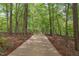 Long driveway leading to a wooded property, surrounded by beautiful trees at 635 Kensington Dr, Chapel Hill, NC 27514