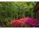 Lush landscaping showcasing blooming azaleas and beautiful trees, enhancing curb appeal at 635 Kensington Dr, Chapel Hill, NC 27514