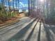 Picturesque paved path surrounded by trees and foliage under a clear blue sky at 817 Kenyon Springs Dr, Zebulon, NC 27597