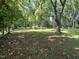 Expansive backyard with mature trees, offering a serene and private setting at 223 E Nash St, Spring Hope, NC 27882