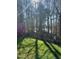 View of backyard with lush lawn, wooden fence and glimpses of a lake surrounded by mature trees at 416 Collinsworth Dr, Clayton, NC 27527