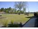 Expansive front yard with mature trees and landscaping at 860 Bear Rd, Benson, NC 27504