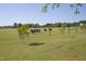 Picturesque pasture with grazing cattle and a split rail fence line with mature trees at 860 Bear Rd, Benson, NC 27504