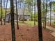A backyard view through the trees with a well maintained lawn at 2007 Watson Rd, Durham, NC 27704