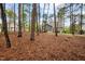 Wooded backyard with lush lawn at 2007 Watson Rd, Durham, NC 27704