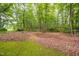 Wooded backyard featuring mature trees, mossy ground cover, and undergrowth at 227 Chimney Rise Dr, Cary, NC 27511