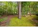 Lush backyard featuring mature trees, mossy ground cover, and a planter box at 227 Chimney Rise Dr, Cary, NC 27511