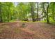 Wooded backyard featuring mature trees, mossy ground cover, and back of house at 227 Chimney Rise Dr, Cary, NC 27511