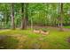 Secluded backyard with mature trees, a planter, and stepping stones through the mossy lawn at 227 Chimney Rise Dr, Cary, NC 27511