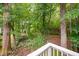 Serene view from the deck of the wooded backyard with mature trees and a small stream at 227 Chimney Rise Dr, Cary, NC 27511