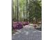 Gravel path lined with azaleas, winding through a wooded backyard with mature trees offering a peaceful retreat at 255 Williamston Ridge Dr, Youngsville, NC 27596